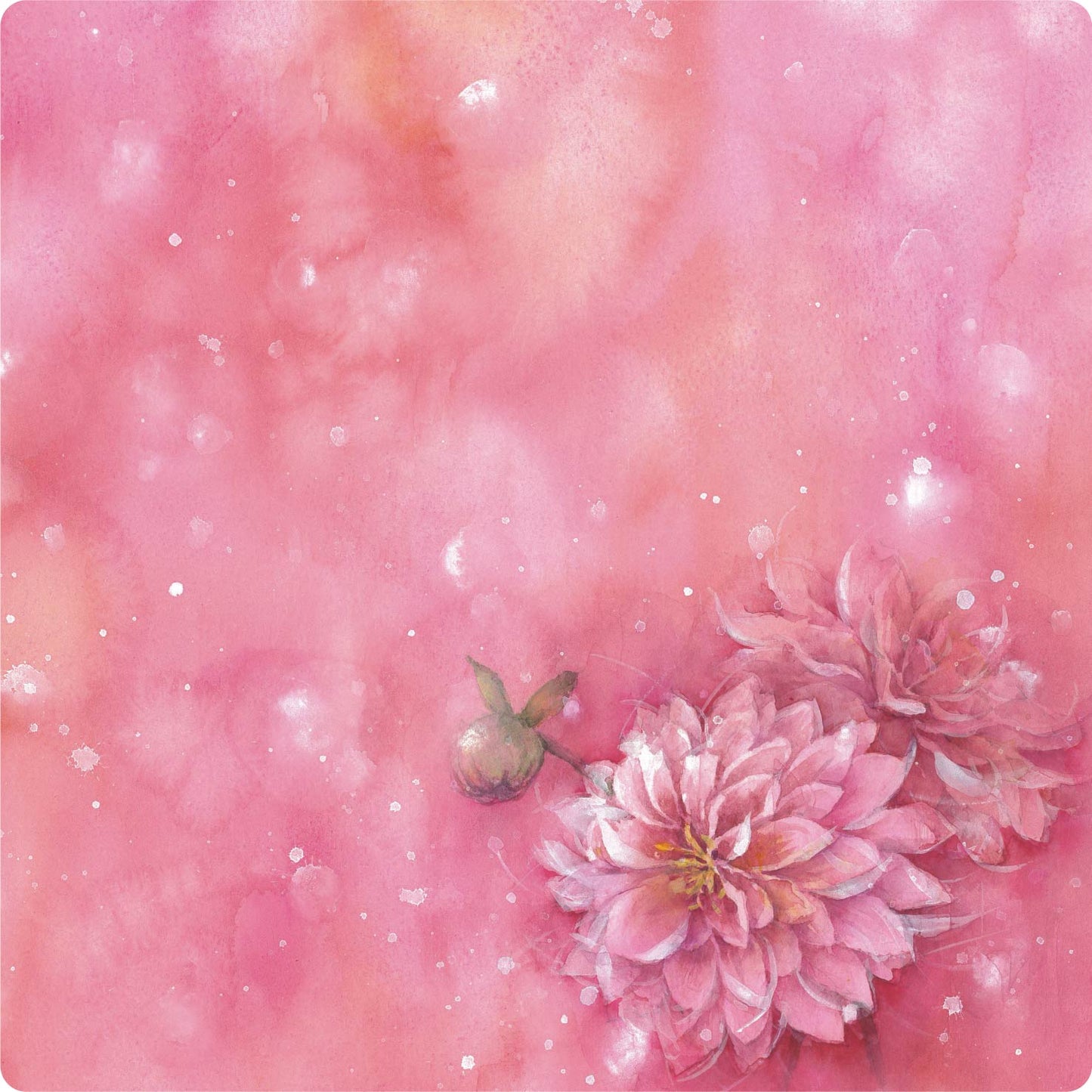 smachi 0187 25×25cm 【水彩】