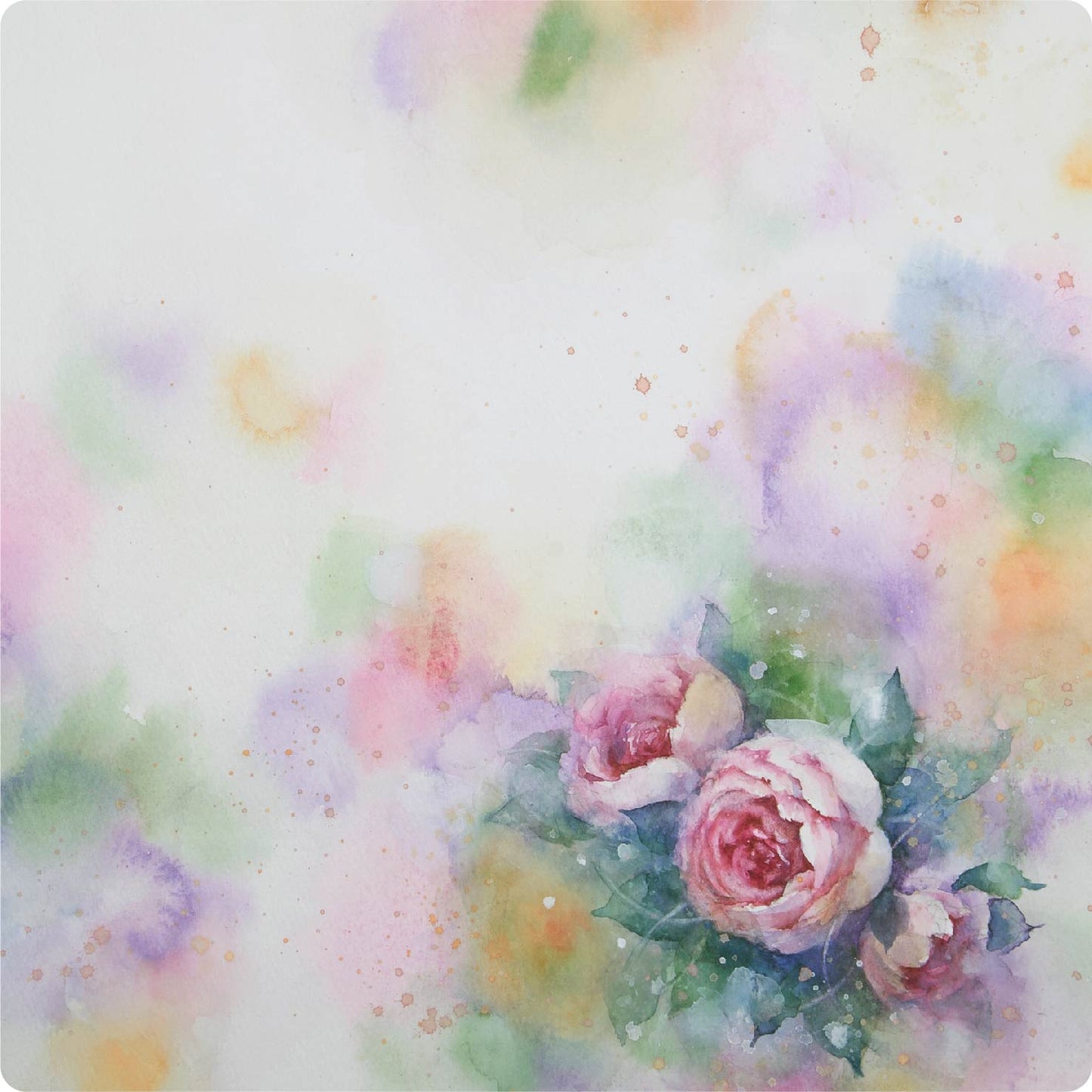 smachi 0189 25×25cm 【水彩】