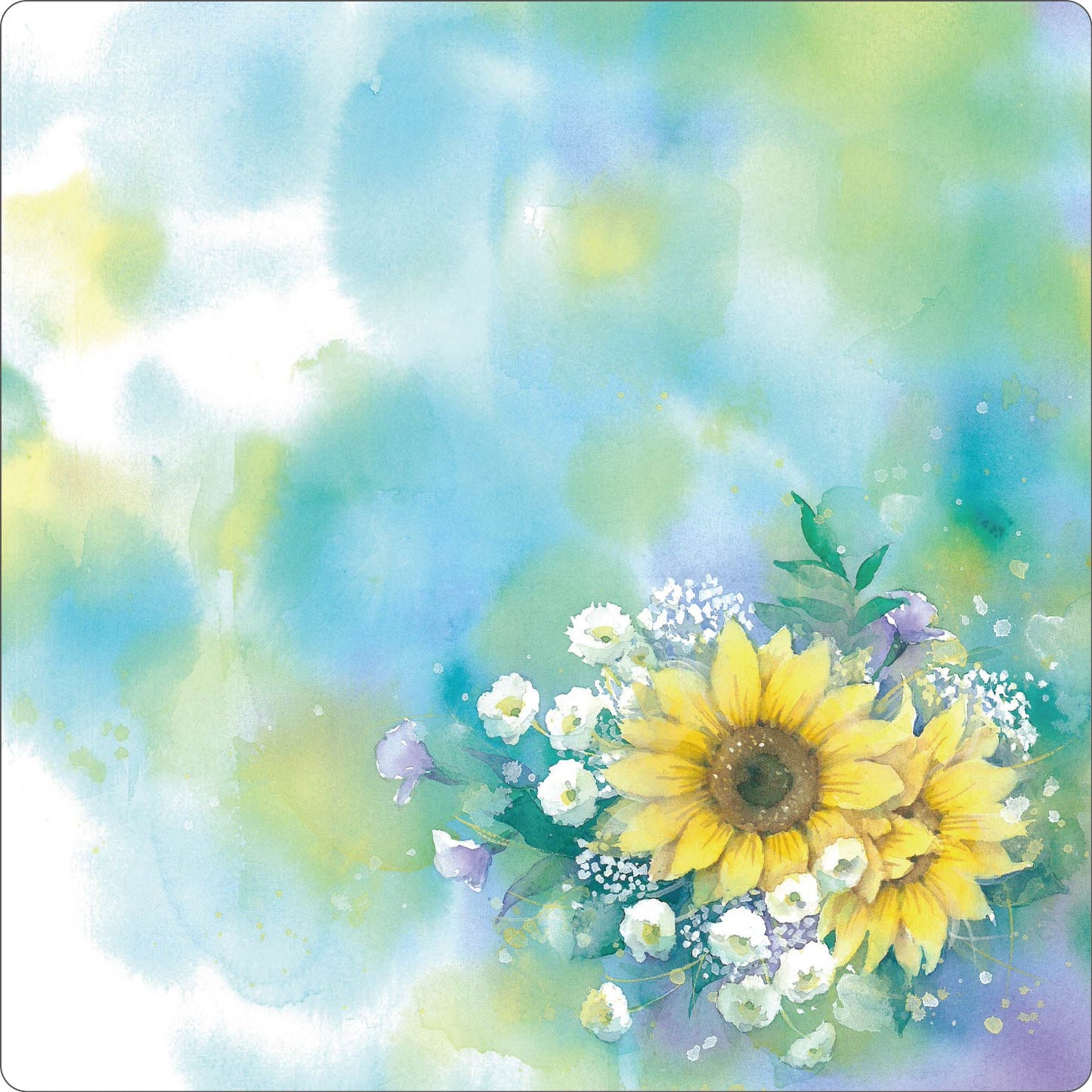 smachi 0242 25×25cm 【水彩】