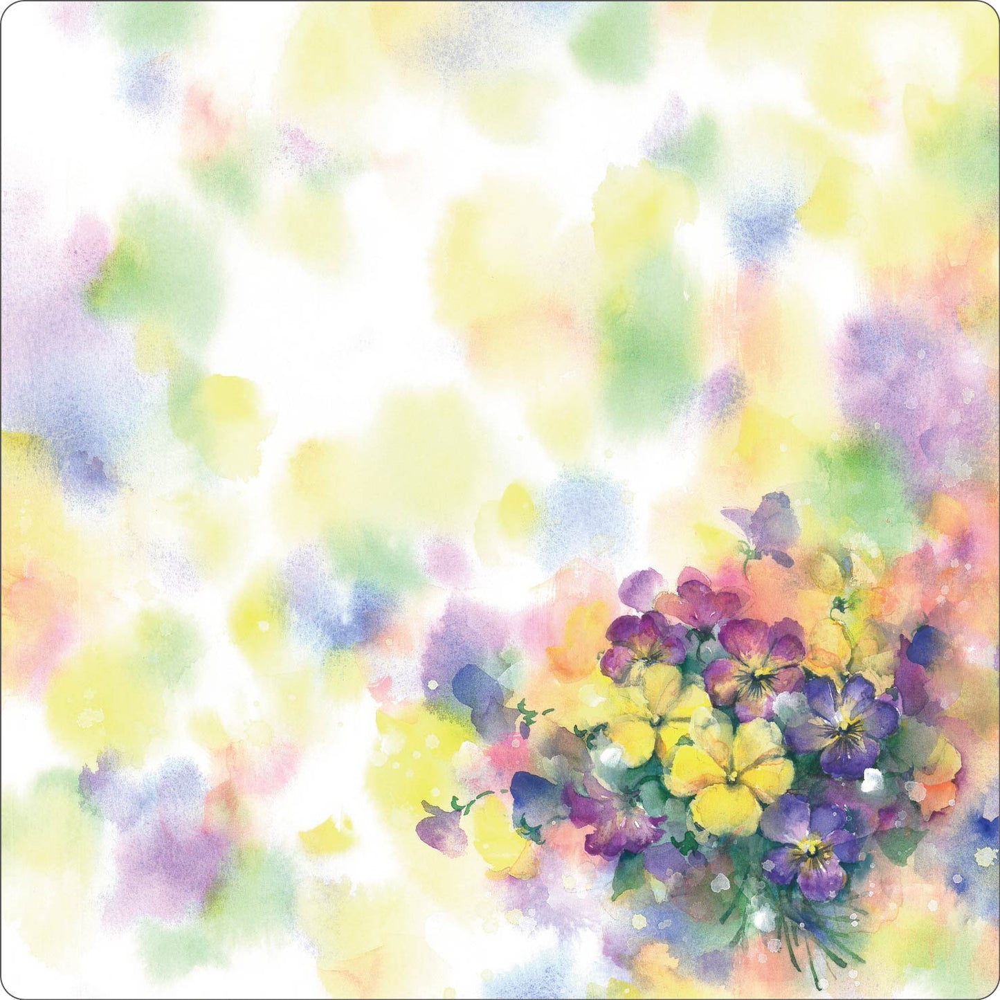smachi 0243 25×25cm 【水彩】